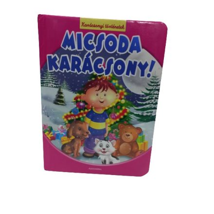 Karácsonyi történetek - Micsoda karácsony!